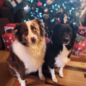 Sargent and Rivet