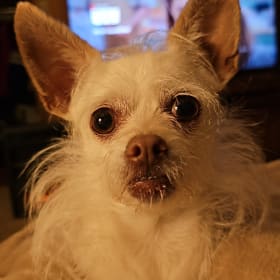 Bella