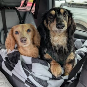 Sawyer and Weily
