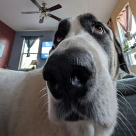 Dot