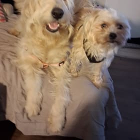 Lola and Scrappy