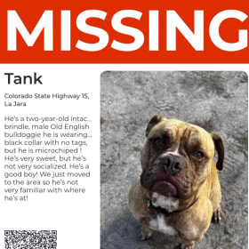 Tank