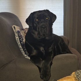 Max