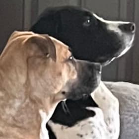 Magpie and Emmylou
