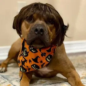 Maggie