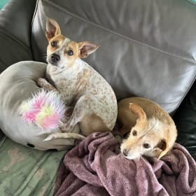 Squirt and  Ziggy