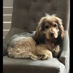 Jax