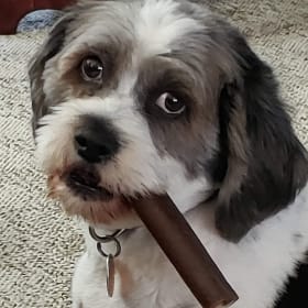 Oreo