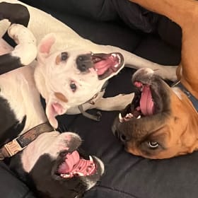 Lilly Willow and Luca