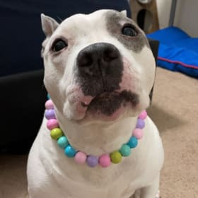 Darla