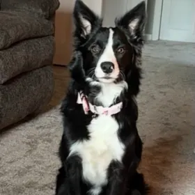Marley