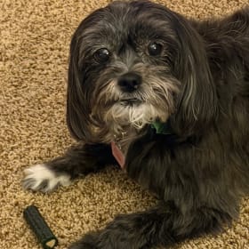 Rosie