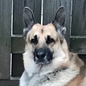 Maxem