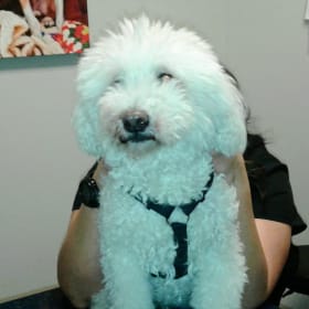 Dougie