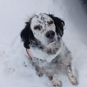 Ms Ellie