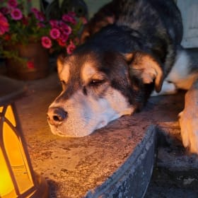 Max