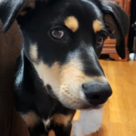 Stormie