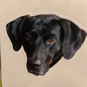 Maggie