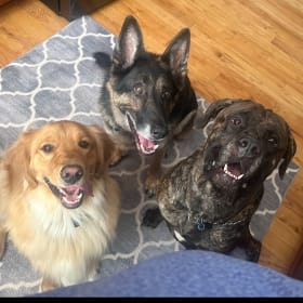 Tucker Major and Shadow