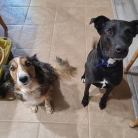 Lucy and Augie