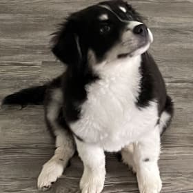 Elsa