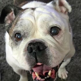 Fiona