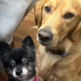 Louie and Lucy