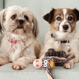 Pepper and Wooky