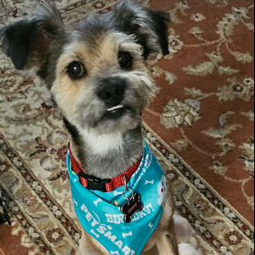 Cooper