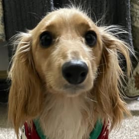 Finley