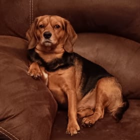 Gracie