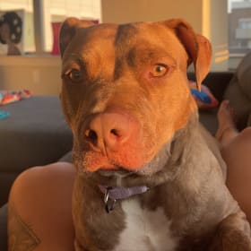 Ellie