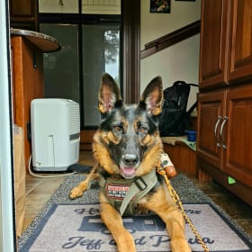 Odin