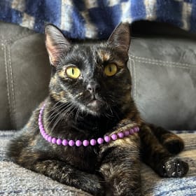 Missy