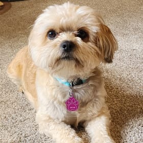 Archie