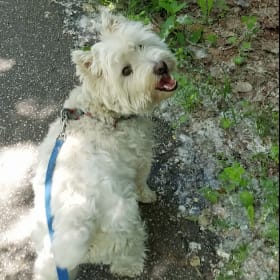 Fergus