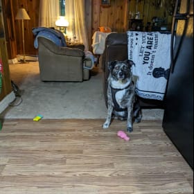 Cooper