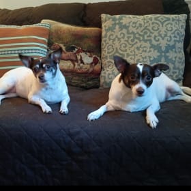 Minnie and Brandy