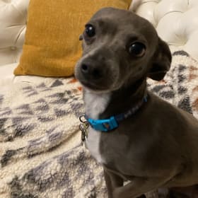 Tito
