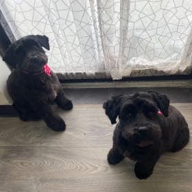 Rosie and Lillie