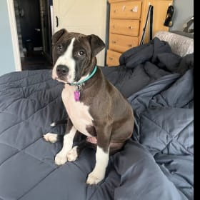 Max