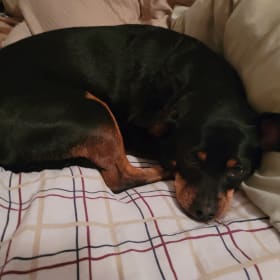 Paquito