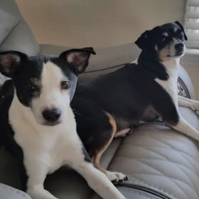 Oreo and Sofie