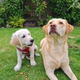 Penny and Young Chester