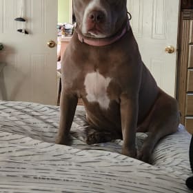 Nadia