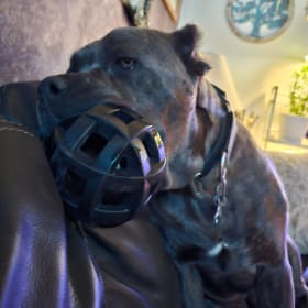 Diesel