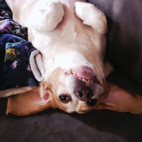 Odin