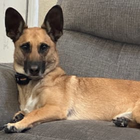 Max