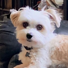 Charlie
