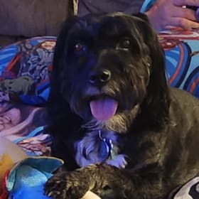 Delilah